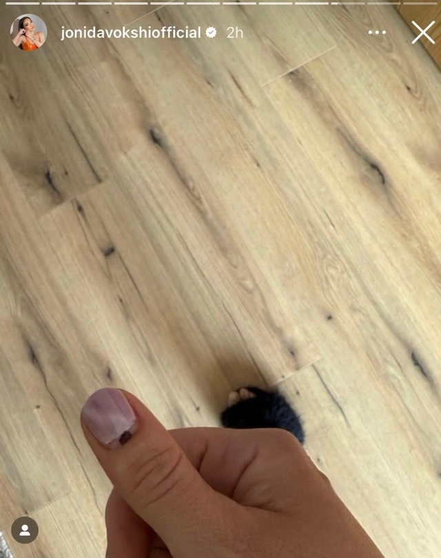 FOTO/ Të famshmit shqiptarë bëjnë zgjedhjen e tyre: Ja kush
