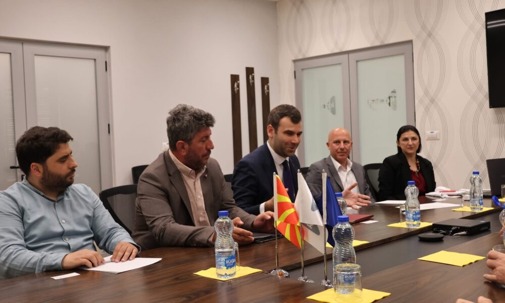 MEPSO dhe KOSTT me hap të përbashkët drejt sigurisë energjetike  projekti interkonektiv Tetovë Prizren merr hov të ri
