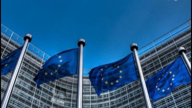 Pse Evropa nuk po i luan të gjitha kartat në  luftën  e tarifave doganore  Tani është pothuajse pa mjete hakmarrjeje