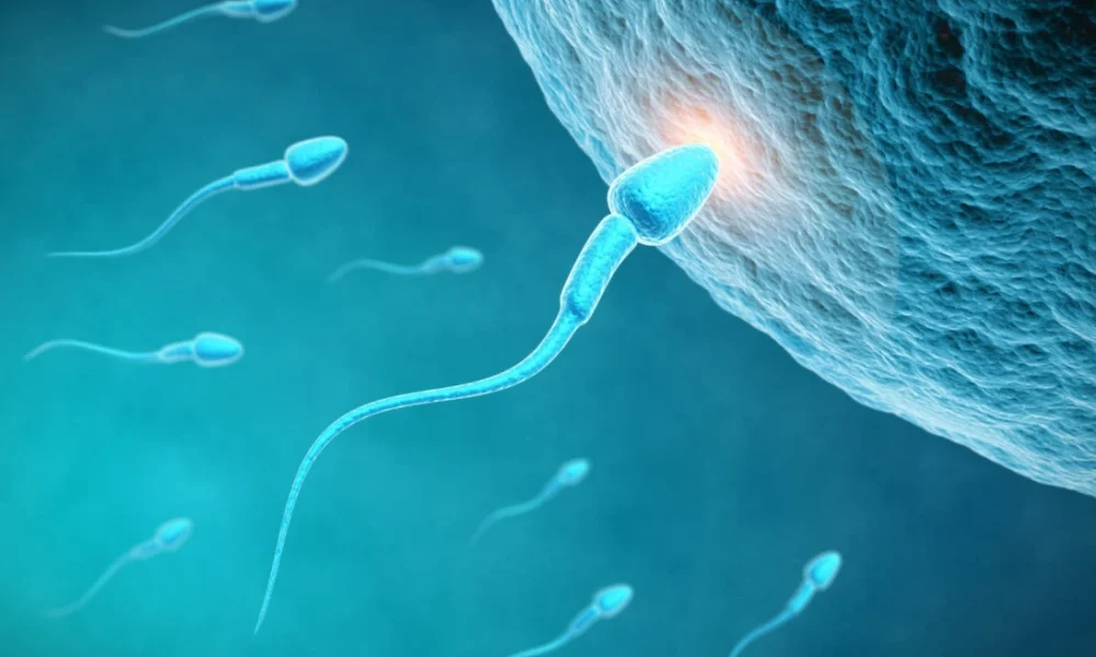 Sperma e një donatori te 67 fëmijë në Evropë  dhjetë prej tyre me kancer