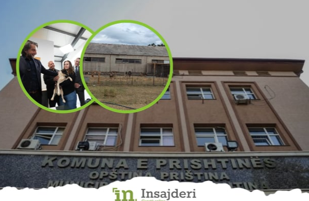 qente-endacak-rrezik-i-perditshem