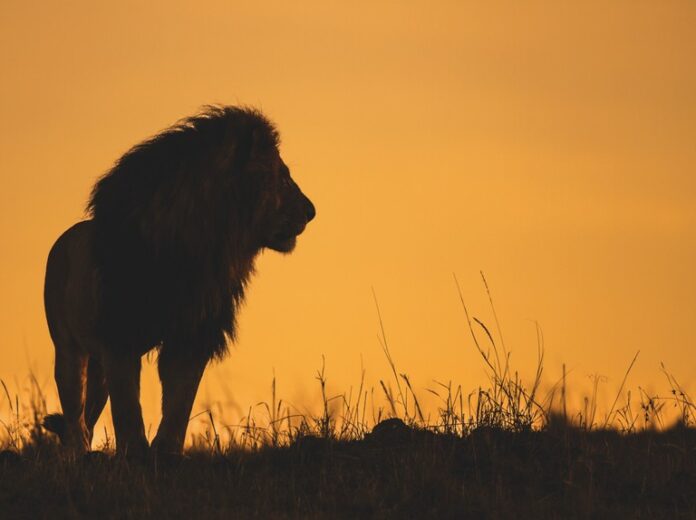 behu-luan-atehere-kur-te-vije-radha-jote