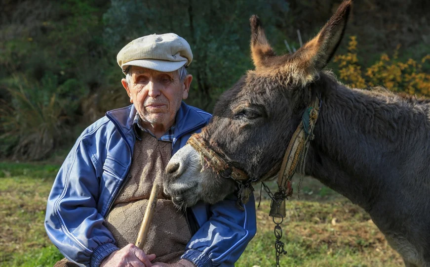 Ta kesh gomarin udhërrëfyes jete 