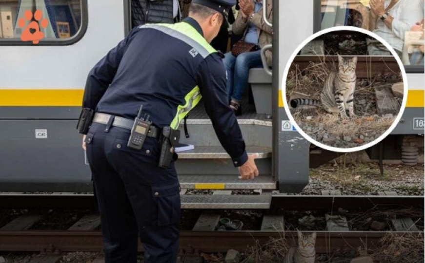 Një makinist treni në Itali  si të kishte lexuar Profetin Muhamed