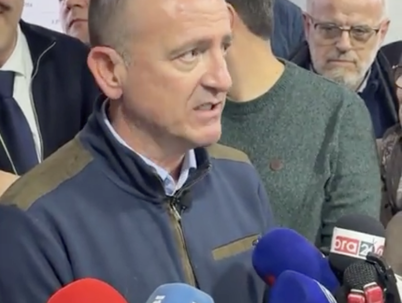 Taravari  Zgjedhje të parakohshme në maj ose tetor  mund të bëjmë rezultate të jashtëzakonshme 