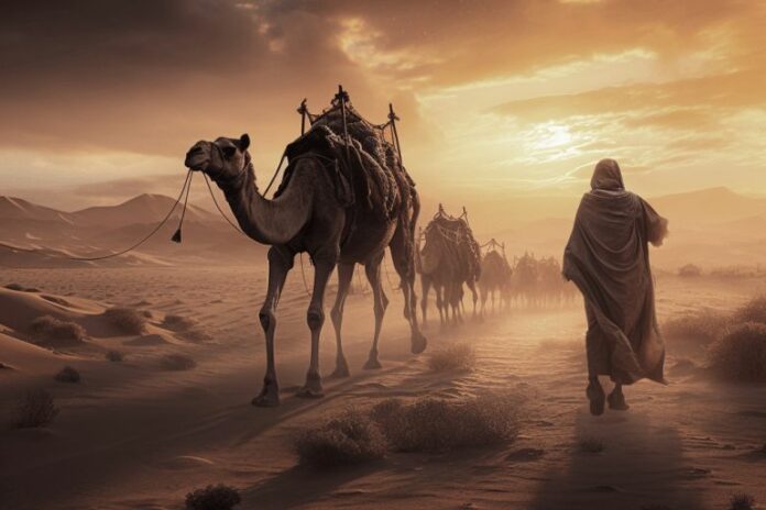 nuk-jane-vetem-dy-festa