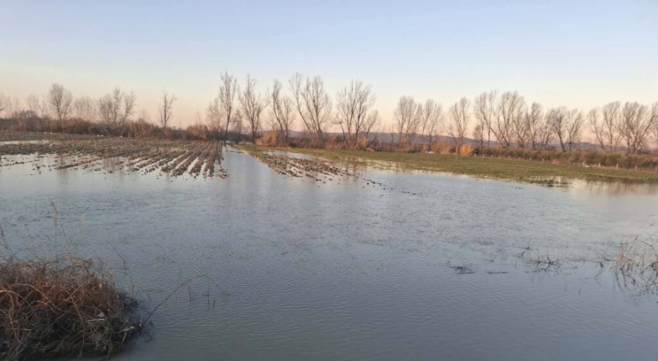 Shkarkimet nga digat dhe kanalet e bllokuara  rritet sipërfaqja e serrave të përmbytura