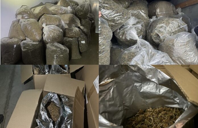 200 kg marihuanë kapen në një aksion të madh policor në Maqedoninë e Veriut