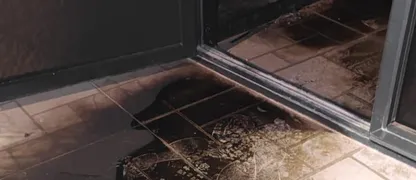 Horrori sionist djeg një xhami në Bregun Perëndimor