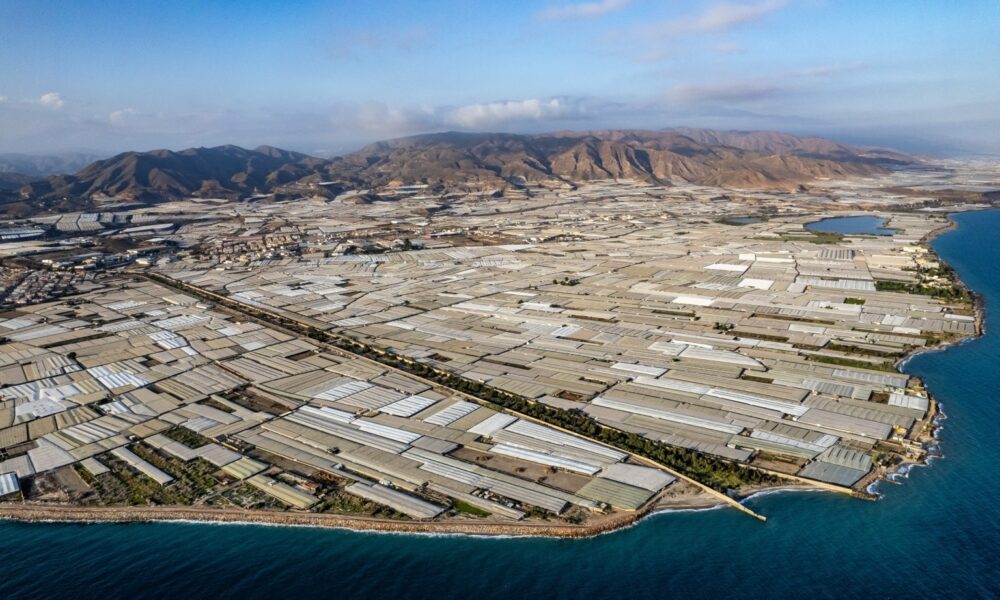 Serra ku ushqehet e gjithë Evropën  ku dhe si 