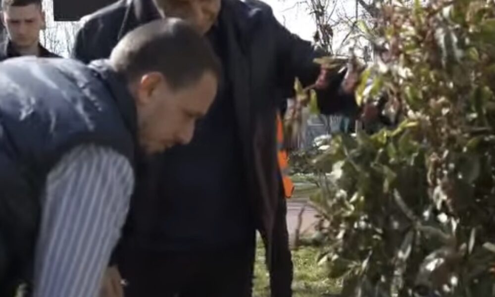 Mexhiti  Drunjtë nga kampusi i Universitetit  Nënë Tereza  do të rimbillen në parkun e ri  Rilindja  në Çair