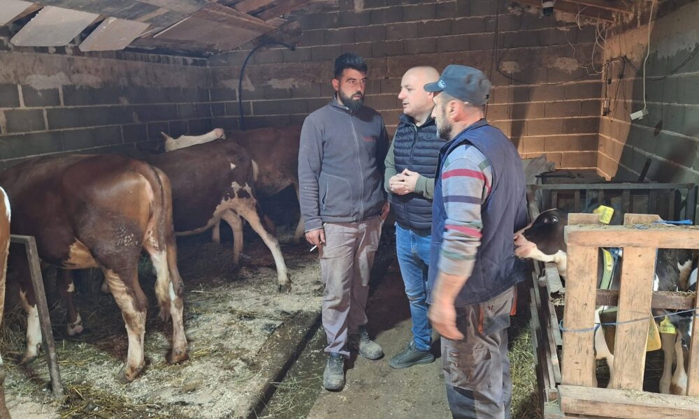 Subvencione dhe mbështetje për blegtorët  Hoxha viziton fermën e Sadush Shabanit