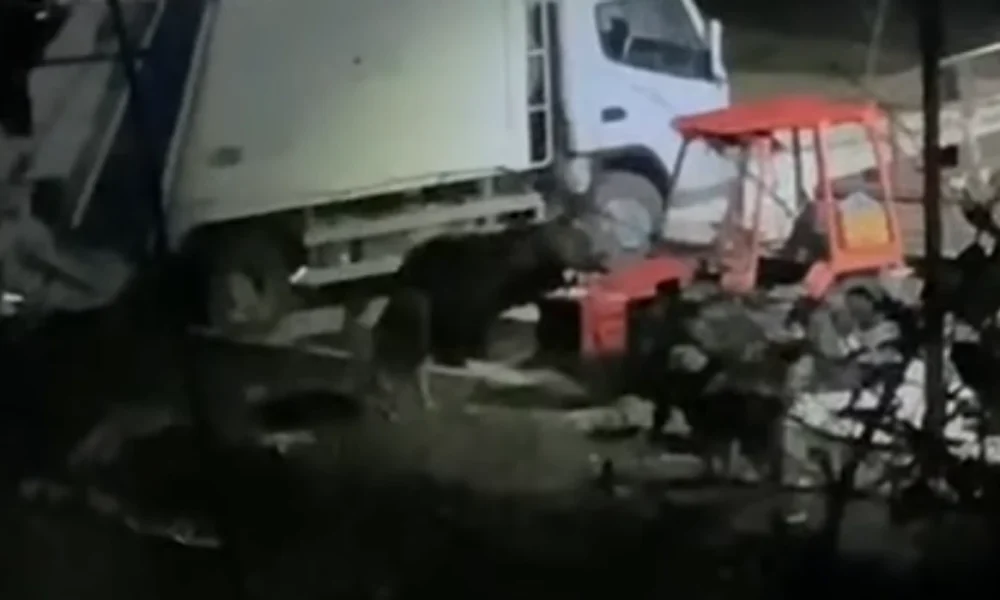 Një ari mbrëmë është parë në një zonë të banuar në Rostushë