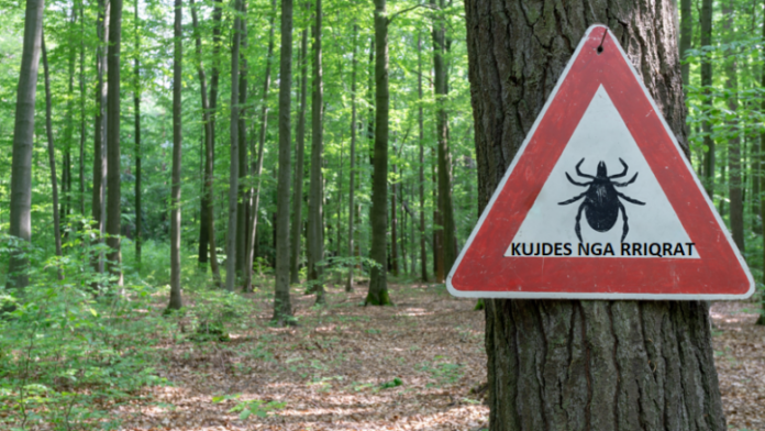 Sezoni i rriqrave ka filluar  Ato transmetojnë sëmundje të rrezikshme dhe shumë nuk e dinë se ekziston një vaksinë