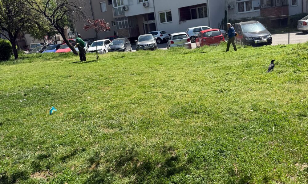 Seferi aktiv në terren  angazhon ekipe për mirëmbajtjen e gjelbërimit në Çair