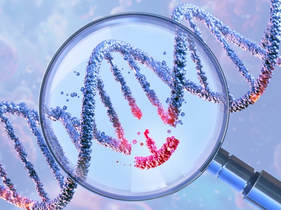 Lufta ndaj kancerit  shkaqet dhe fuqia e parandalimit