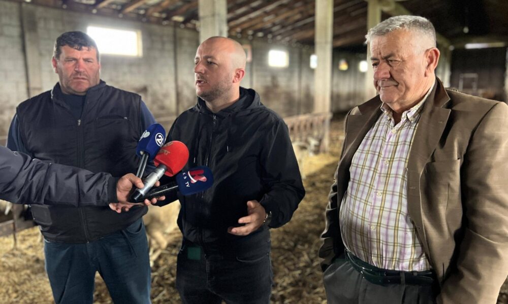 Hoxha  Mbështetja për fermerët po jep rezultate konkrete