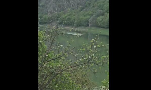 U filmuan duke peshkuar ilegalisht  Policia e Prizrenit identifikon   tre peshkatarët    pamje