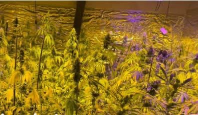 laboratori-i-madh-i-droges-zbulohet-ne-nje-fshat-te-pejes-krejt-cka-dihet