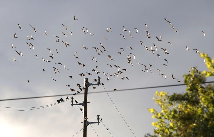 Moti në vend do të jetë me diell dhe me vranësira