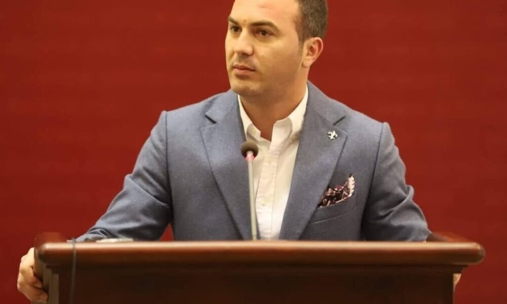 Arbër Ademi  Tre qëndrime për një ligj   qeveria në kaos për gjuhën shqipe