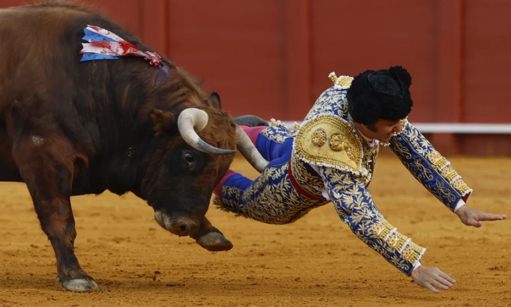 Pamje edhe turpëruese për  mbretin e toreadorëve 