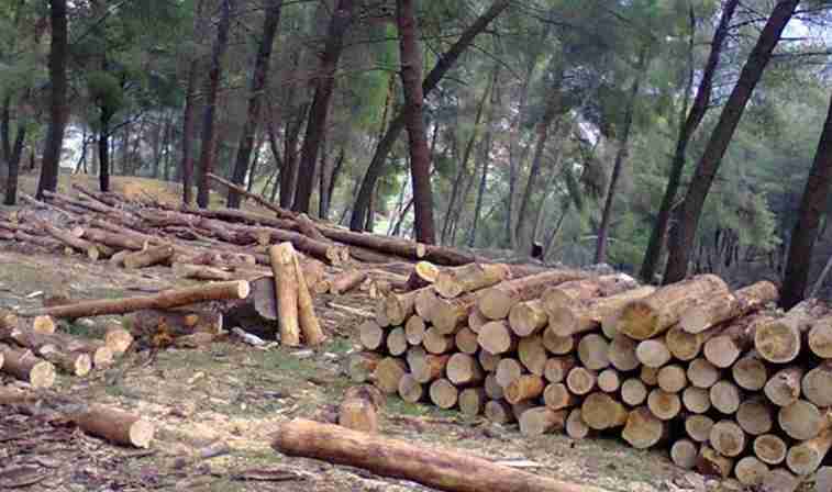 Privohen nga liria dy persona në Dollnen  sulmuan policinë me sharrë motorike