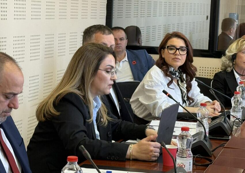 Selimi  Jemi njëzëri për çdo tentativë që niset nga Kosova  procesin në Hagë mos e bëni pjesë të fushatave