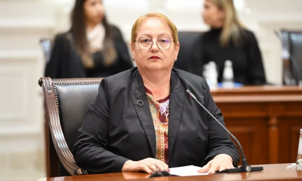 ligji-per-arsimin-e-larte-janevska-do-te-kete-edhe-nje-takim-i-fundit-me-gupet-e-interesuara