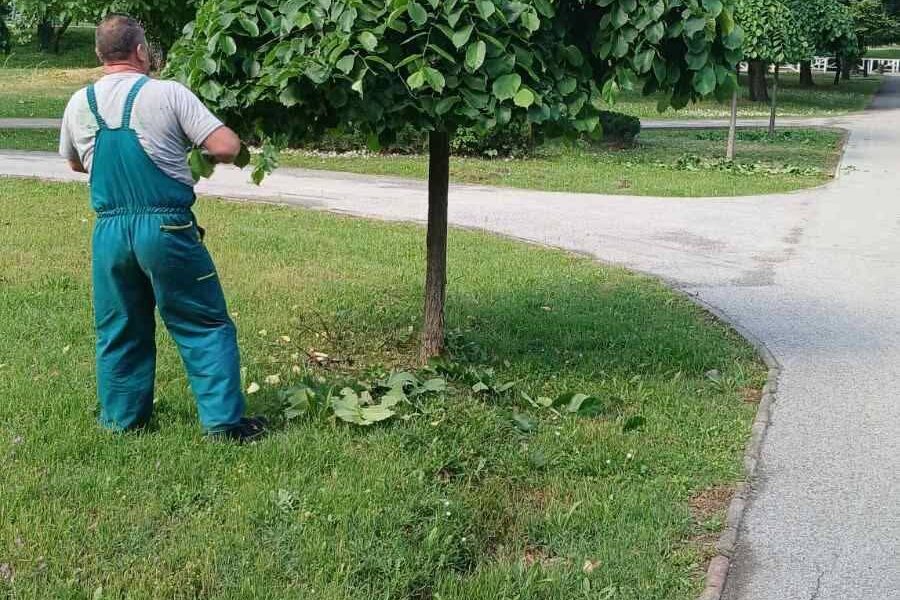 Seferi  Rregullimi i sipërfaqeve të gjelbra publike mbetet prioritet