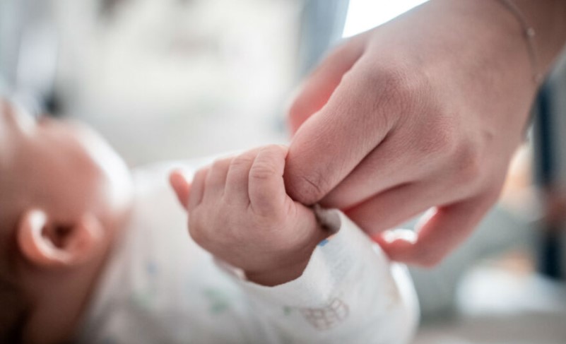 Tkurrja e popullsisë  Shqipëria regjistroi më shumë vdekje se lindje në fillim të 2026 ës
