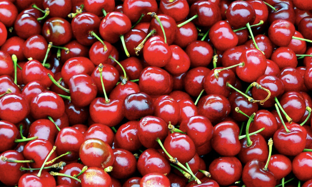 Çmime të larta të frutave në tregje  qershitë arrijnë deri në 400 denarë