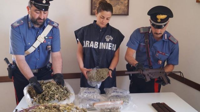 Ngriti  shtëpi bari  në mes të fshatit  arrestohet shqiptari  Sistem modern kultivimi me panele diellore  aspiratorë dhe 