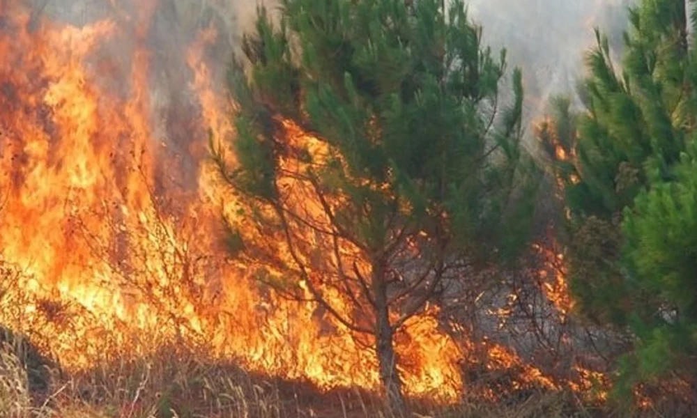 Sot janë shkaktuar 13 zjarre në Maqedoni  një prej tyre është ende aktiv