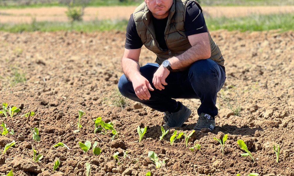 Hoxha  Mbi 2 miliardë denarë subvencione për duhanprodhuesit  pagesa më e madhe e realizuar ndonjëherë
