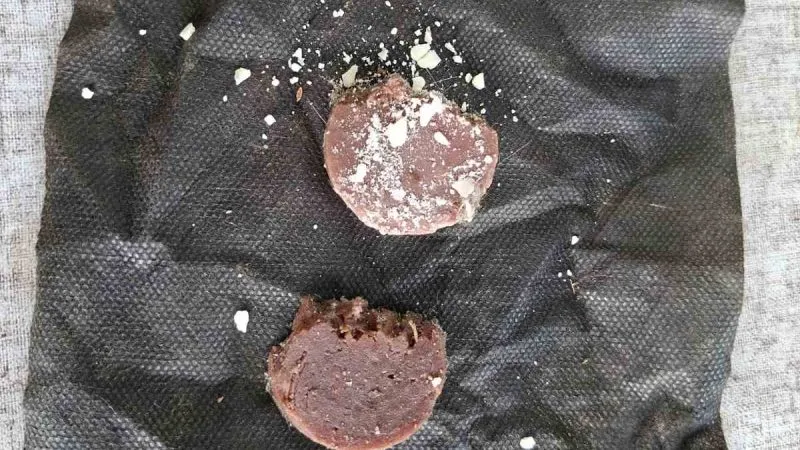 Te këndi i lojërave për fëmijë në Rasadnik në sallam u gjet insekticidi i ndaluar  Lanate 