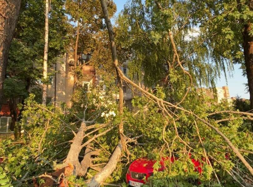 MPB  Mbi 180 pemë të rrëzuara  117 automjete dhe 35 çati të dëmtuara nga stuhia në Shkup