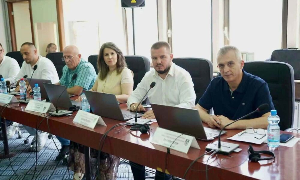 Standardet e dyfishta të Maksim Dimitrievskit