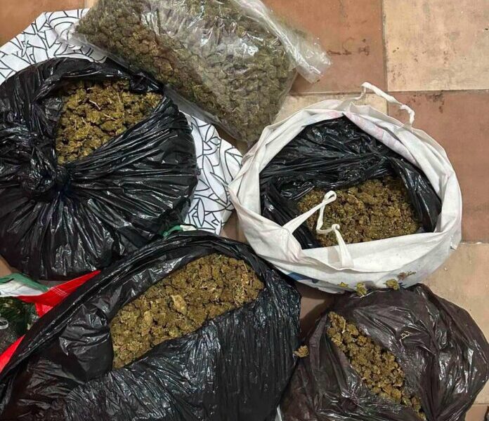 Kapen 5 kg matihuanë në Shkup  dy veta prangosen