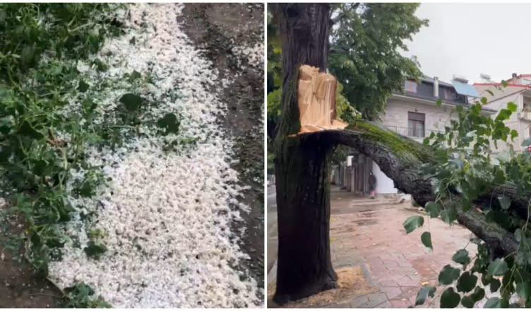 Stuhi e fortë në Korçë  breshëri dëmton të mbjellat në Devoll  era rrëzon pemët në shesh