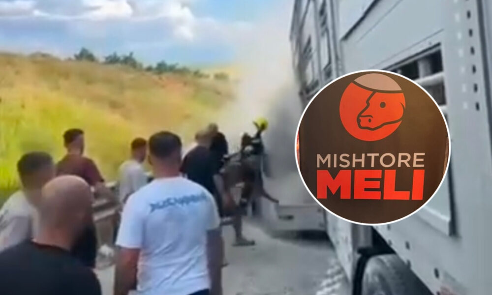 Kamioni i djegur që bllokoj autostradën i përkiste kompanisë  Meli   ishte i dedikuar për transport të kafshëve  Video 