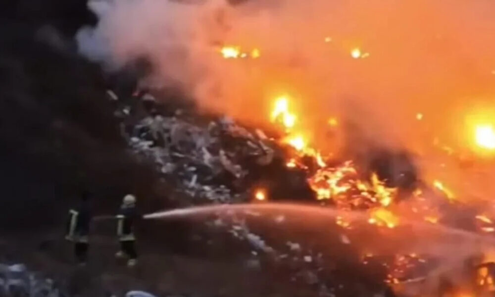 Zjarr në parkun pyjor  Gazi Babë 