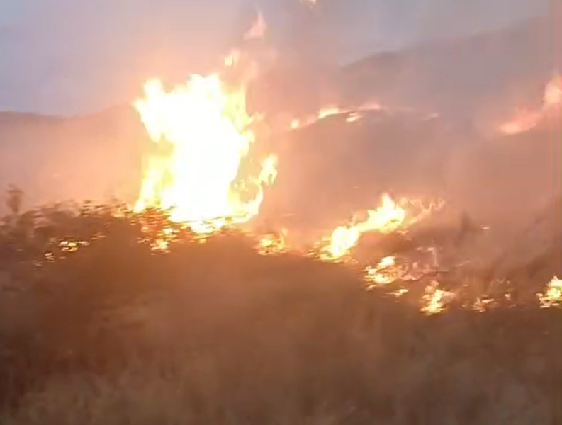 Zjarr në varrezat e Libonikut  Flakët përfshijnë zonën  zjarrfikësit në aksion për shuarjen e zjarrit  VIDEO 