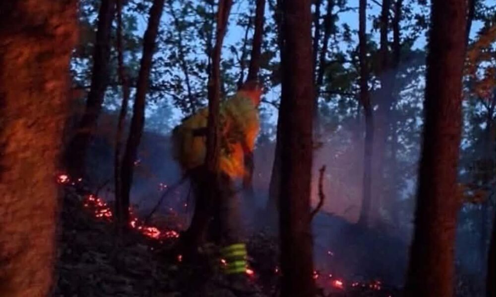 Me përpjekje mbinjerëzore  shuhet zjarri pranë Dibrës