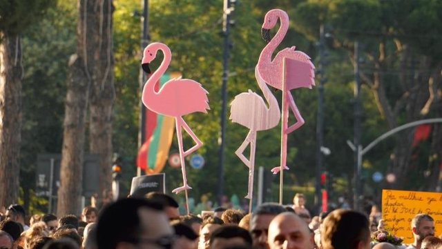 Flamingo  80 ditët pa të nesërme  pa fytyrë dhe emër