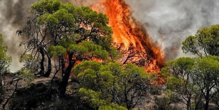 Alarmi i zjarreve në Shqipëri  27 vatra në 24 orë  8 aktive dhe 4 nën monitorim