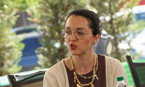 Deputetja e VV së reagon ndaj prodhuesve që protestuan me PDK në te qeveria  Prodhues të Zajednicës  prodhues të keqes së vendit