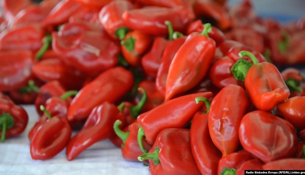 Arrihet marrëveshje për çmimin e specit të ajvarit  40 den kg për klasin e parë  30 denarë për klasin e parë dytë