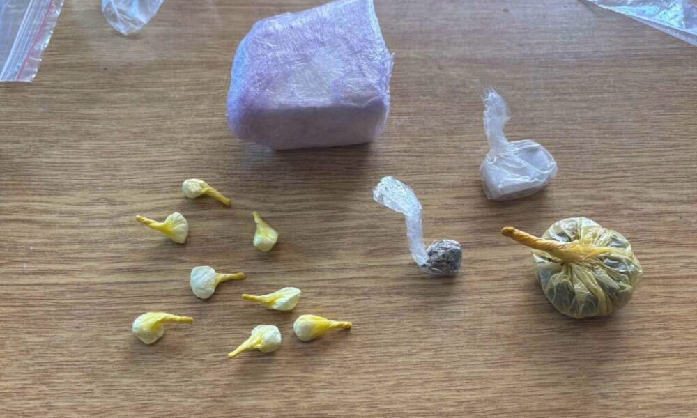 Bastisje  gjenden mbi 160 gramë kokainë  hashash dhe marihuanë  të fshehura në lavatriçe