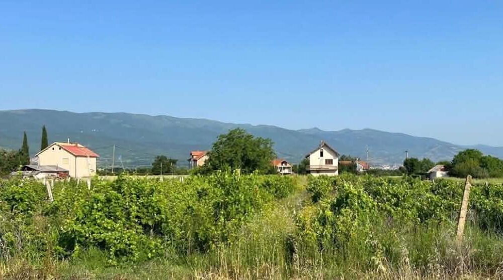 3 të mitur sulmohen fizikisht nga bashkëmoshatarët në Novo Sellë të Kumanovës